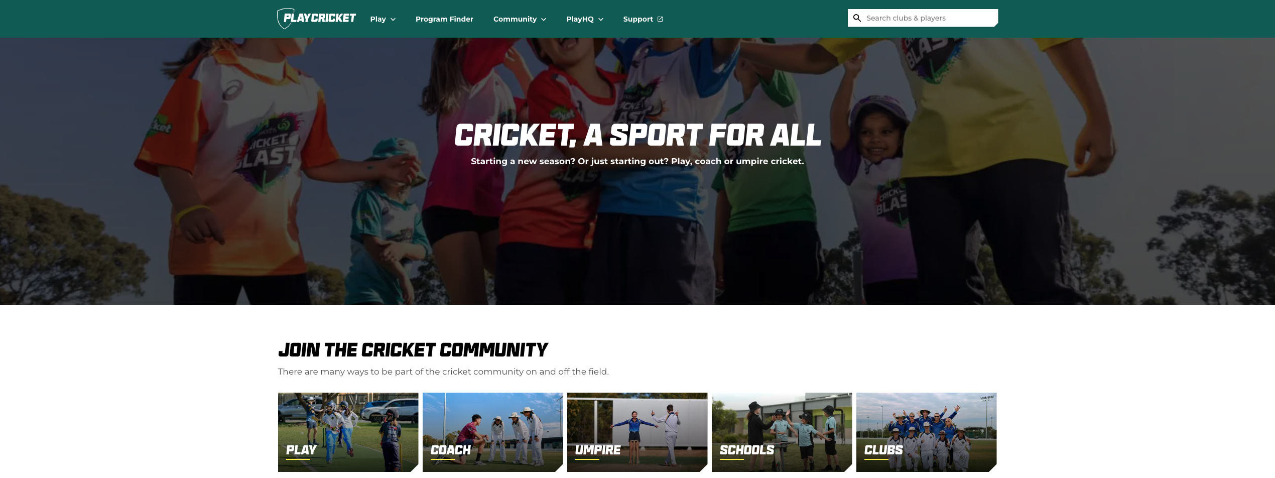 play cricket